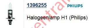 Halogeenlamp 12V H1 (verpakt per 10 stuks )             