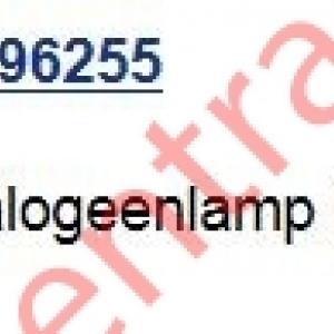 Halogeenlamp 12V H1 (verpakt per 10 stuks )             