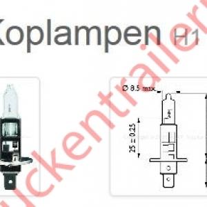 Halogeenlamp 12V H1 55watt              