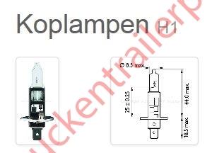 Halogeenlamp 12V H1 55watt              