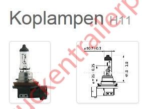 Halogeenlamp 24 volt H11             