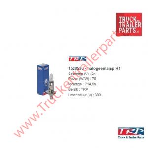 Halogeenlamp TRP 24V H1 70watt   