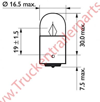 Gloeilamp bol 24V 5watt (verpakt per 10 stuks)             