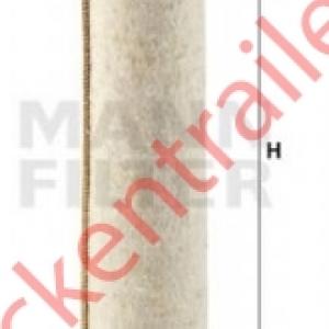 Luchtfilter element   Iveco         