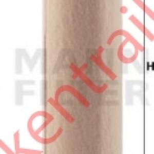 Luchtfilter element   Iveco         
